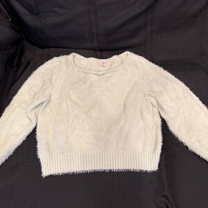 Victoria's Secret Soft mint Sweater